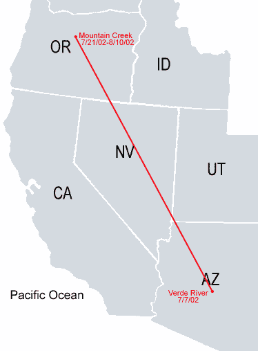 Southwestern-Arizona Sub Adult Bald Eagle Migration Map