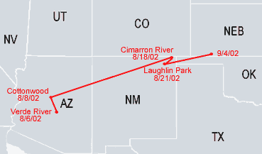 Southwestern-Arizona Sub Adult Bald Eagle Migration Map