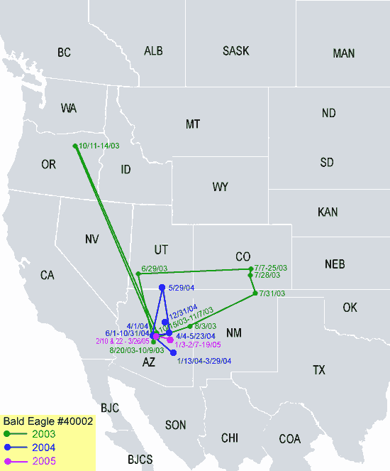 Southwestern-Arizona Sub Adult Bald Eagle Migration Map