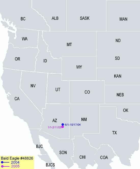 Southwestern-Arizona Sub Adult Bald Eagle Migration Map