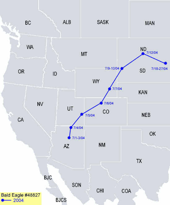 Southwestern-Arizona Sub Adult Bald Eagle Migration Map