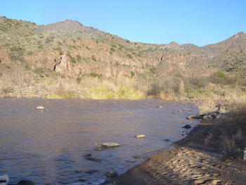 Habitat near East Verde nest site