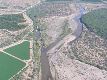 Fort McDowell Breeding Area