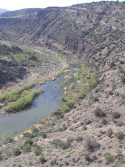 Ladders Breeding Area