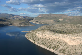 Habitat near Pleasant nest site