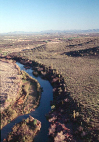 Rodeo Breeding Area