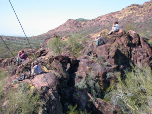 Nestwatchers viewing an eagle from a distance