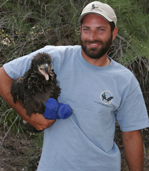 Nestwatcher holding nestling